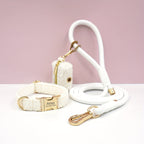 Personalized Teddy Dog Walking Set