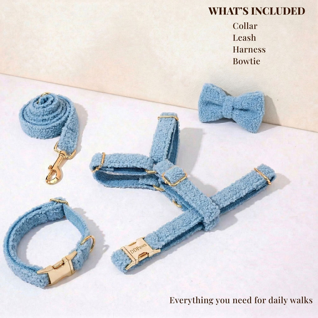 D&D Paws  Light Blue Teddy Set