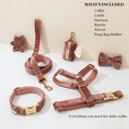D&D Paws  Dusty Pink Velvet Set