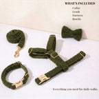 D&D Paws  Cozy Olive Teddy Set