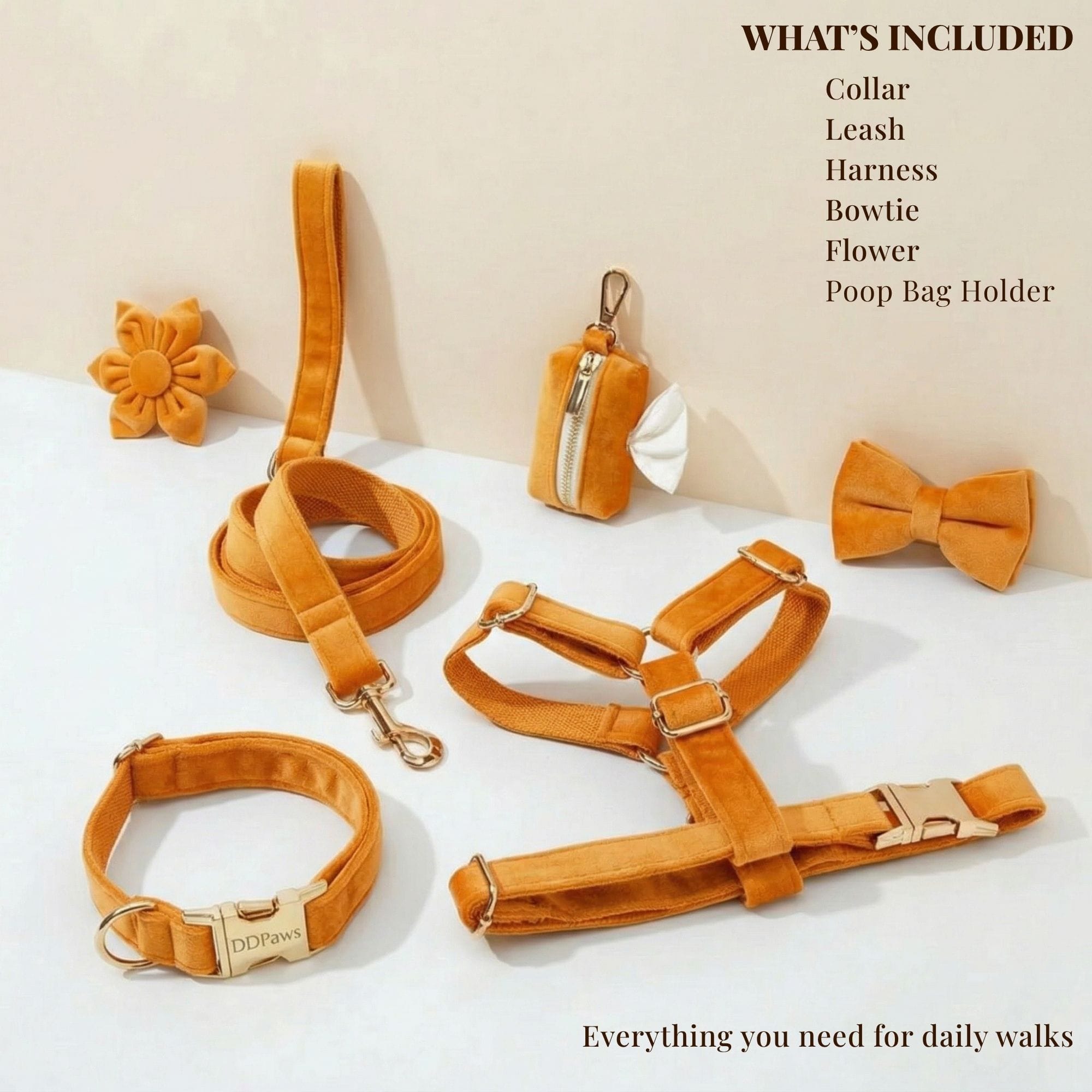 D&D Paws  Orange Velvet Set