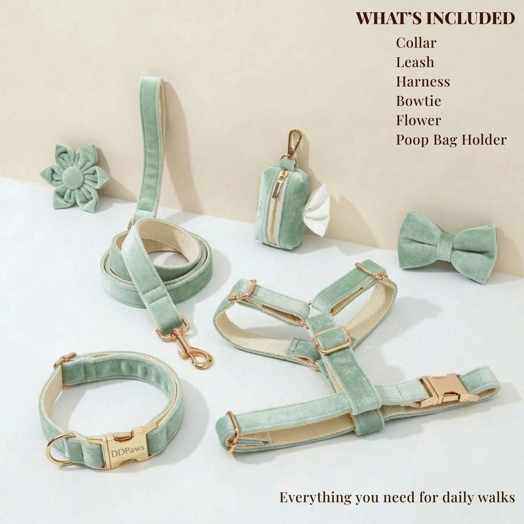 DDPaws  Mint Green Velvet Set