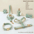 DDPaws  Mint Green Velvet Set