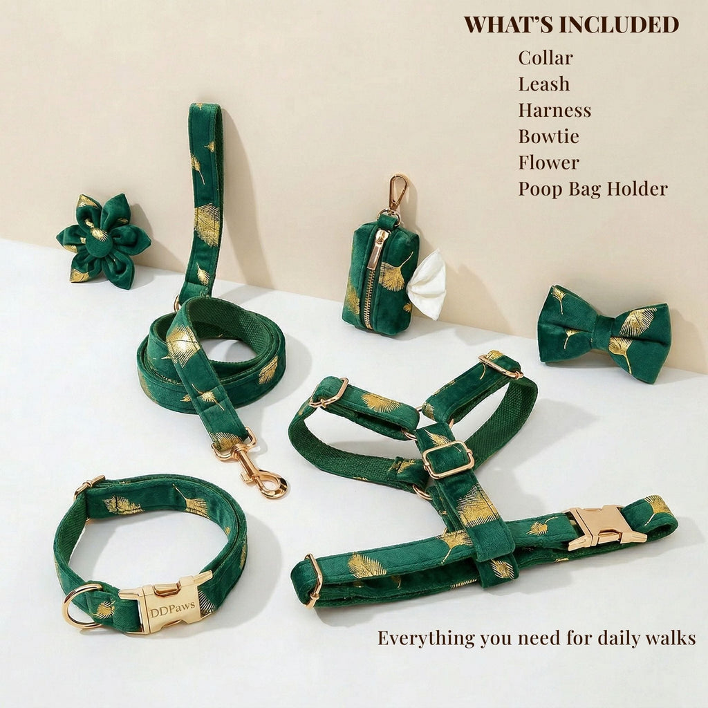 D&D Paws  Green Feather Velvet Set