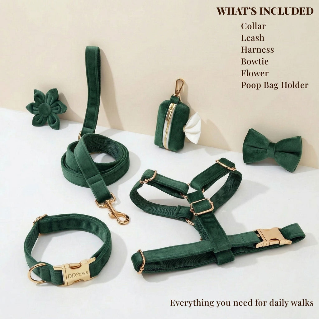 D&D Paws  Velvet Forest Teal Set