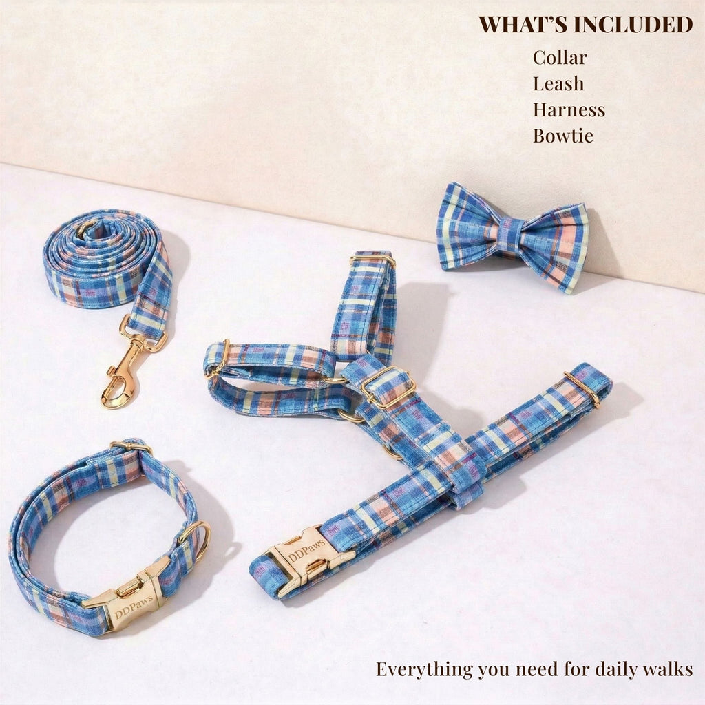 DDPaws  Blue Plaid Set