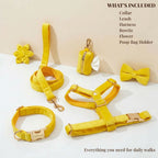 DDPaws  Yellow Velvet Set