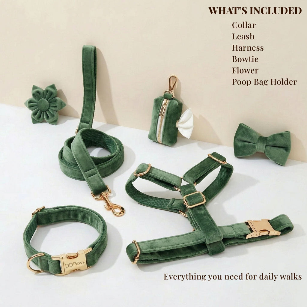 D&D Paws  Forest Green Velvet Set