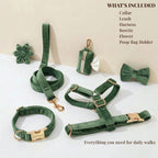 D&D Paws  Forest Green Velvet Set
