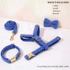 DDPaws  Blue Teddy Set