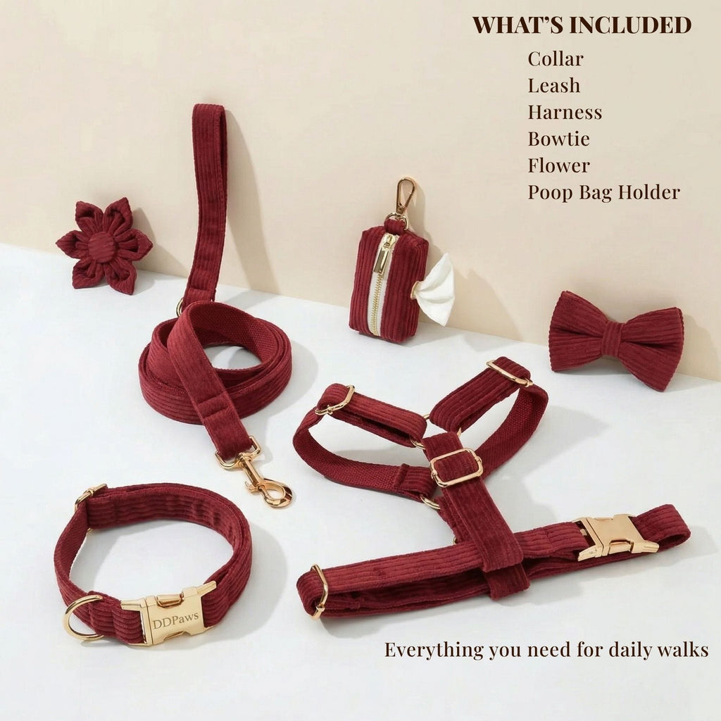 D&D Paws  Dark Red Corduroy Set