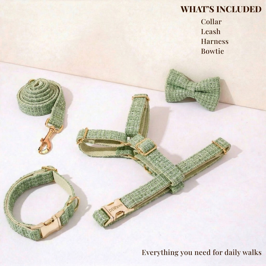 DDPaws  Lemon Green Cotton Set