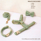 DDPaws  Lemon Green Cotton Set