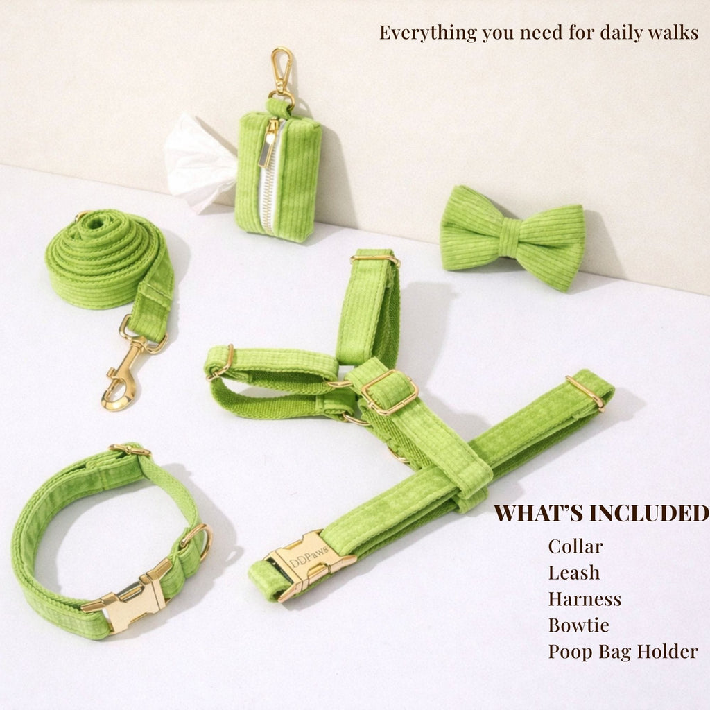 D&D Paws  Apple Green Corduroy Set