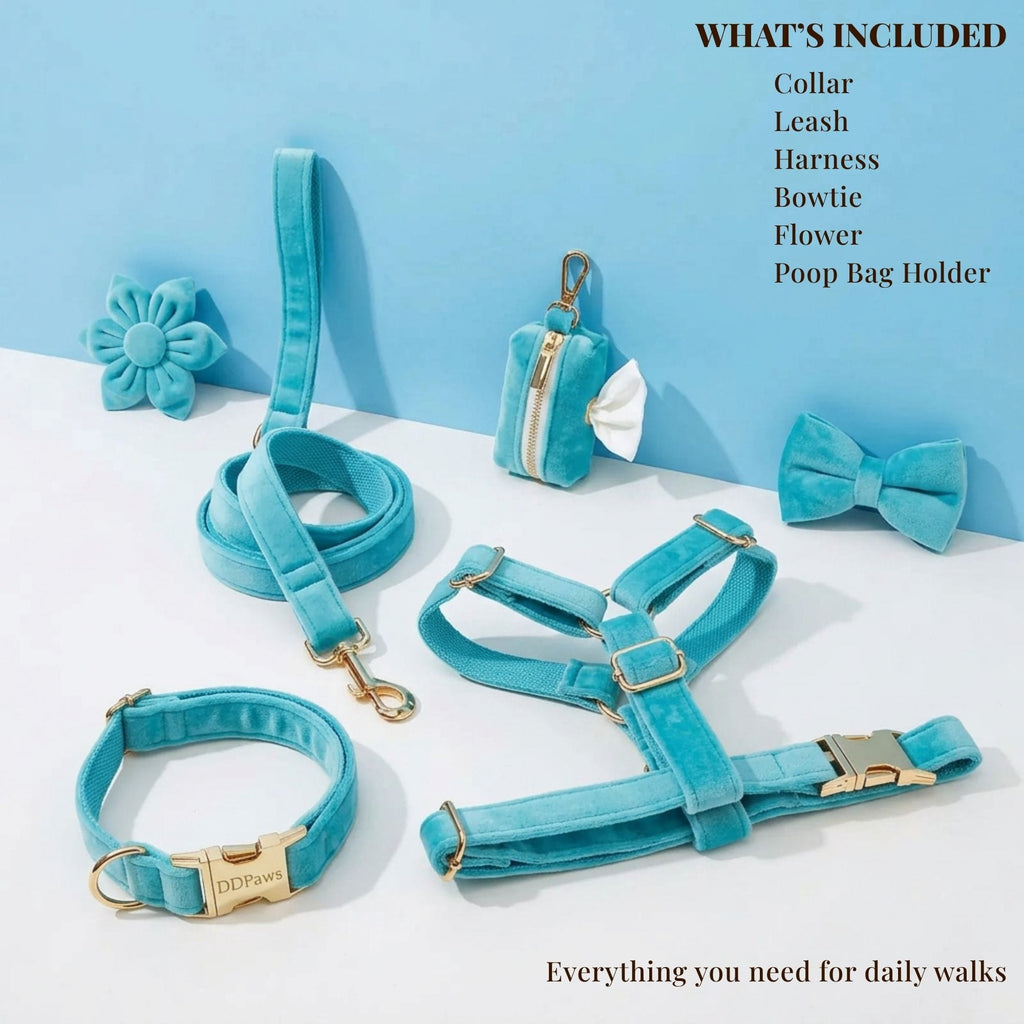 D&D Paws  Turquoise Stone Velvet Set