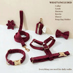 D&D Paws  Red Wine Velvet Set