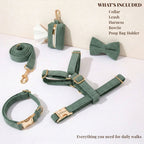 D&D Paws  Dark Green Corduroy Set