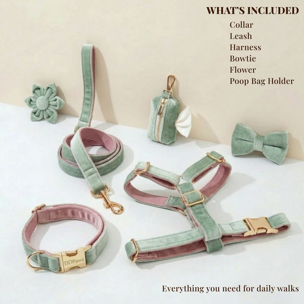 DDPaws  Mint Green Pink Velvet Set