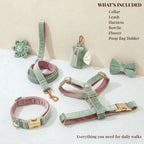 DDPaws  Mint Green Pink Velvet Set