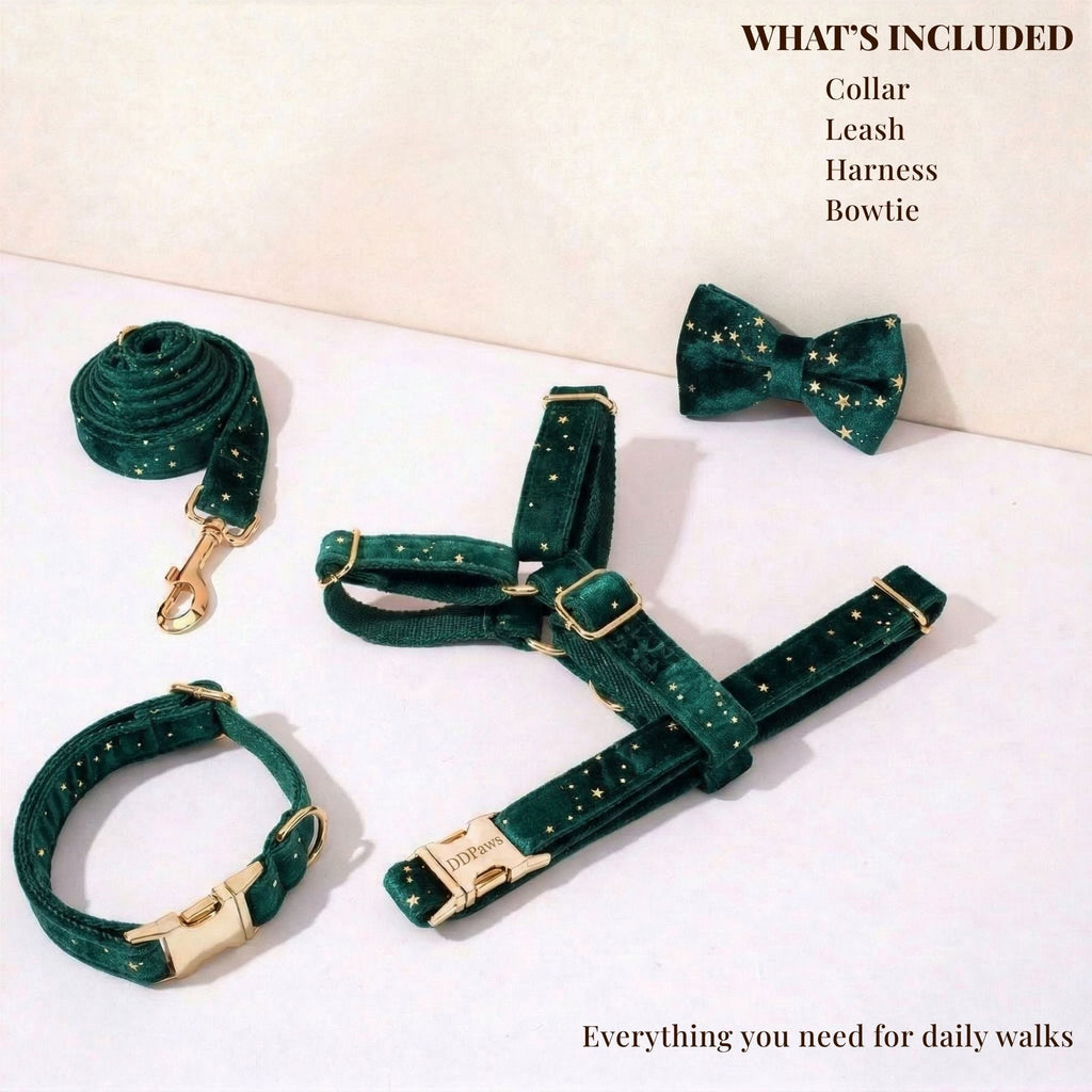 DDPaws  Green Star Velvet Set