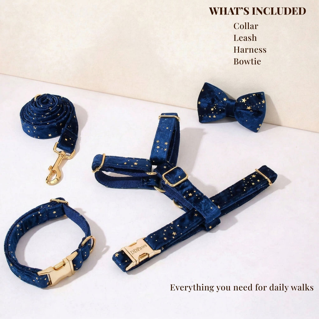 D&D Paws  Dark Blue Velvet Set