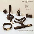 D&D Paws  Dark Brown Velvet Set