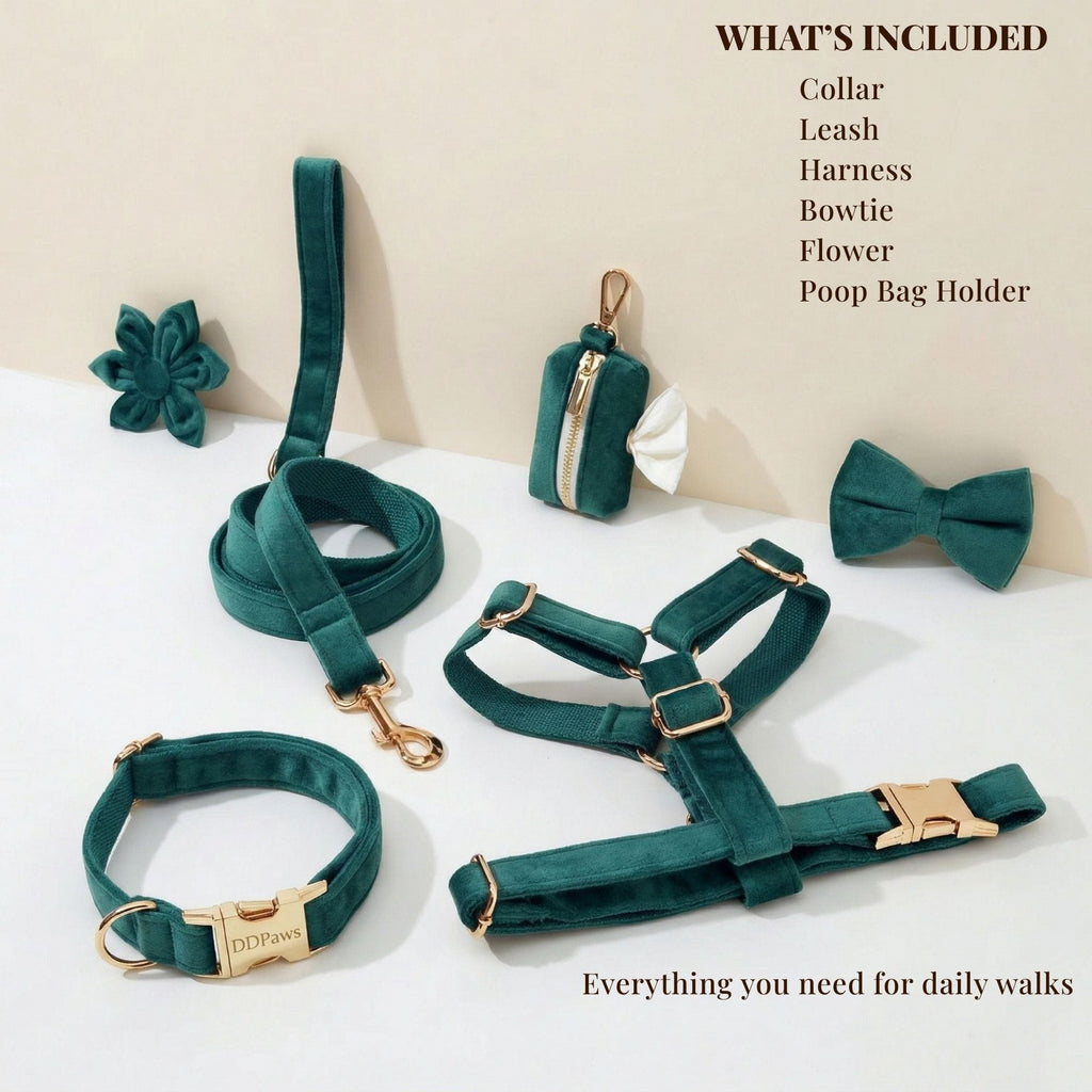 D&D Paws  Green Velvet Set