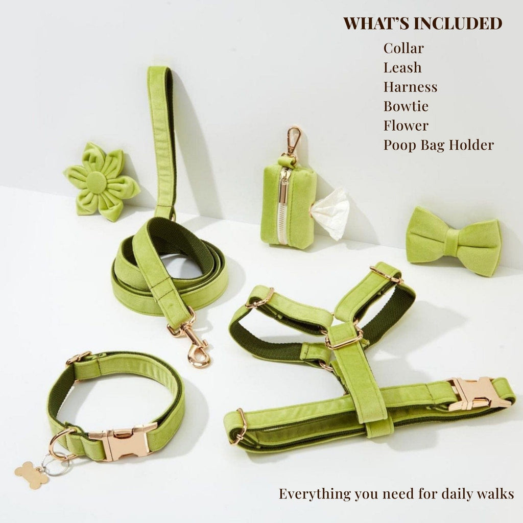 DDPaws  Avocado Velvet Set