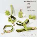 DDPaws  Avocado Velvet Set