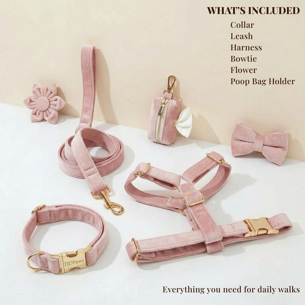 DDPaws  Pale Pink Velvet Dog Collar Leash and Harness Set
