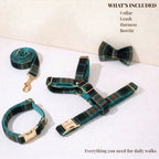 DDPaws  Plaid Emerald Fog Set