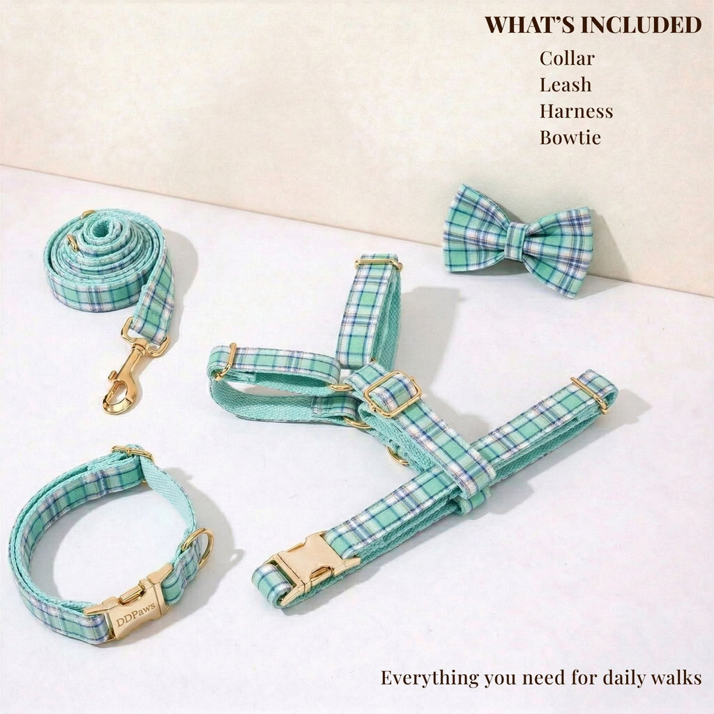 DDPaws  Lake Water Green Plaid Dog Collar Leash and Harness Set