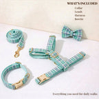 DDPaws  Lake Water Green Plaid Dog Collar Leash and Harness Set