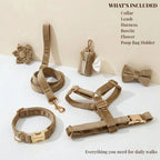 D&D Paws  Shallow Khaki Velvet Set