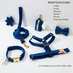 D&D Paws  Blue Velvet Set