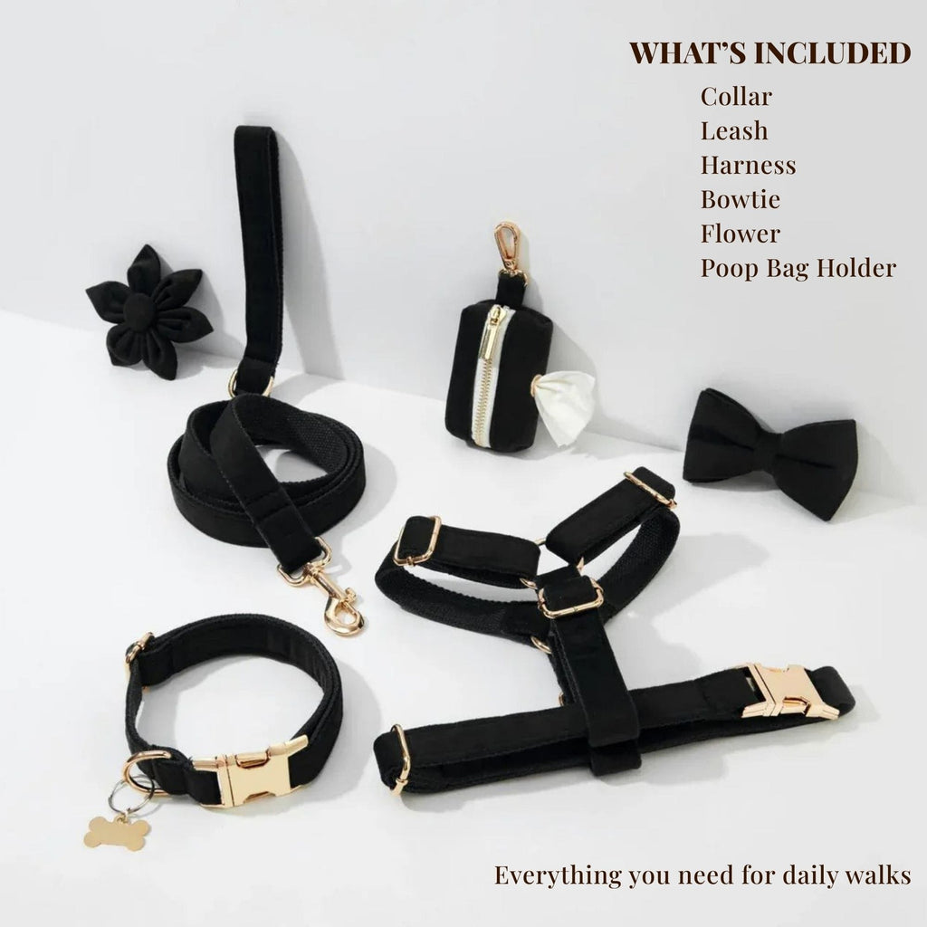 D&D Paws  Black Velvet Set