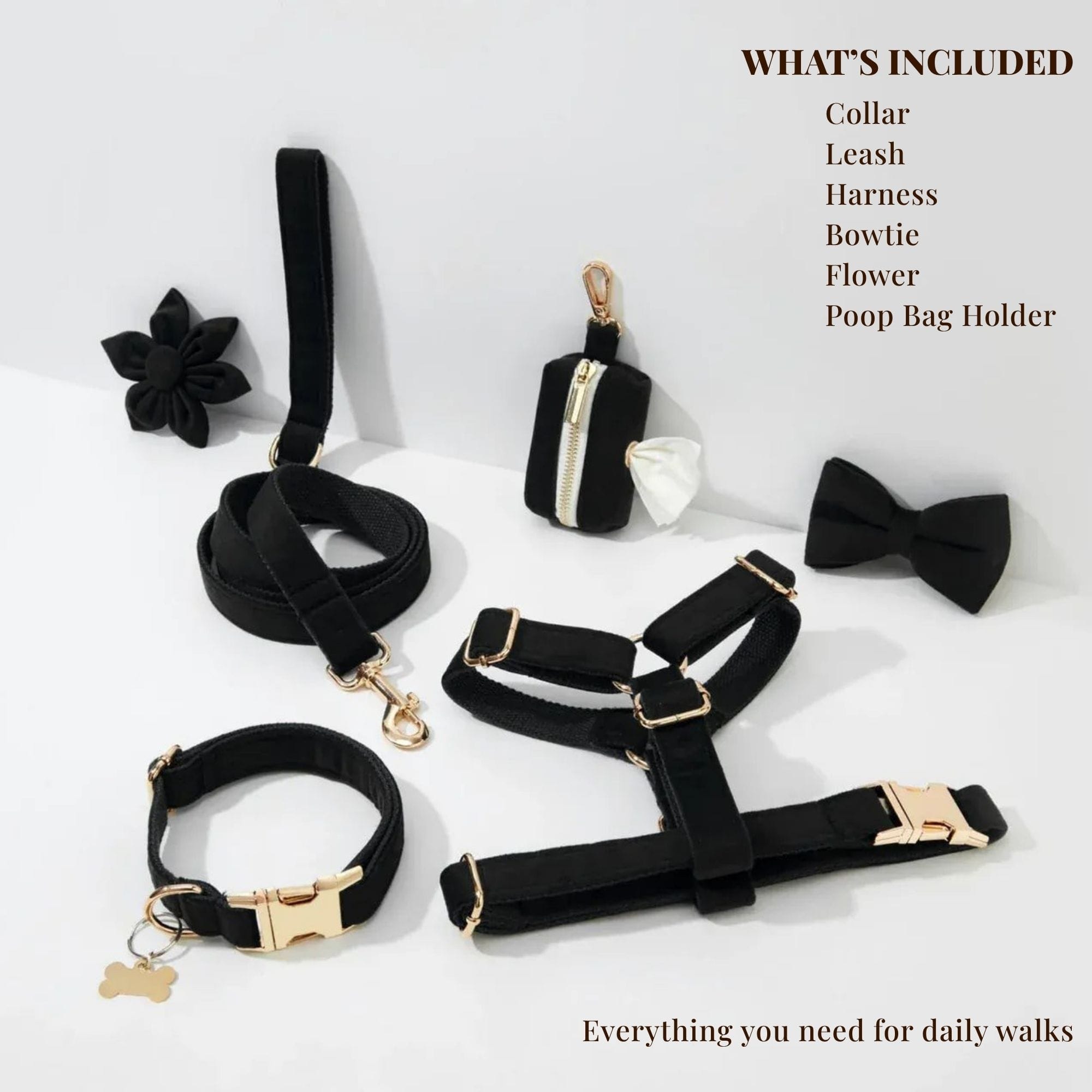 D&D Paws  Black Velvet Set