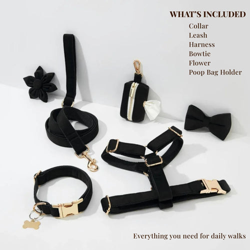 D&D Paws  Black Velvet Set