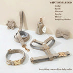D&D Paws  Light Grey Velvet Set