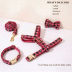 D&D Paws  Christmas Red Star Plaid Set