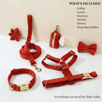 D&D Paws  Red Velvet Set