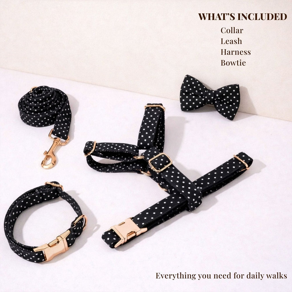 D&D Paws  Black Polka Dot Print Set