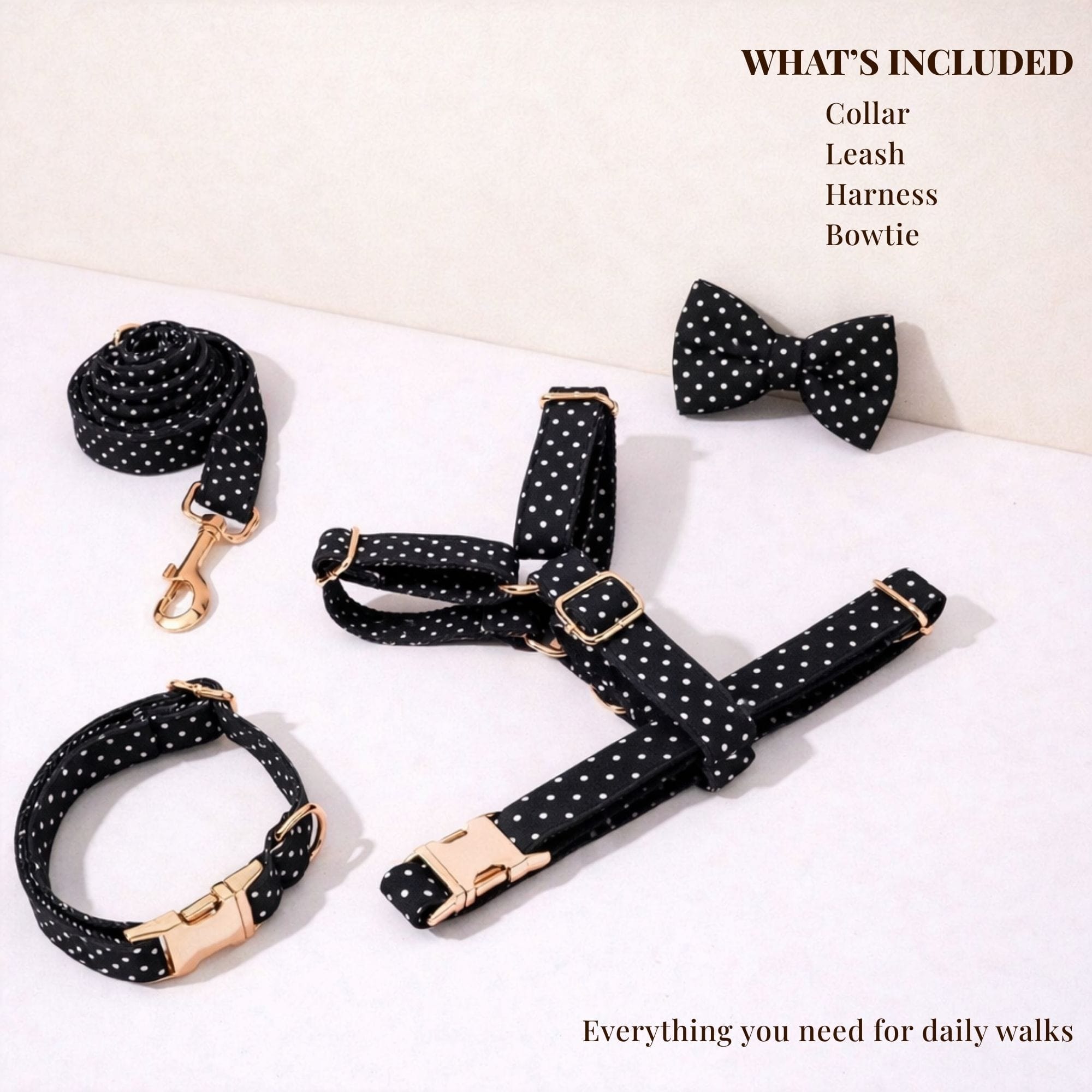 D&D Paws  Black Polka Dot Print Set