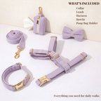 DDPaws  Lavender Mist Corduroy Set