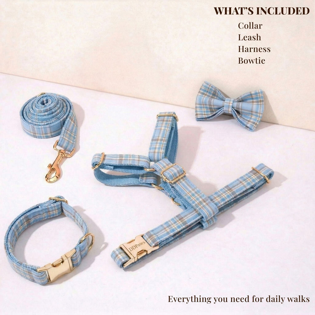 D&D Paws  Blue Plaid Set