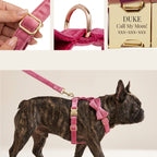 DDPaws  Rose Red Velvet Dog Collar Leash and Harness Set