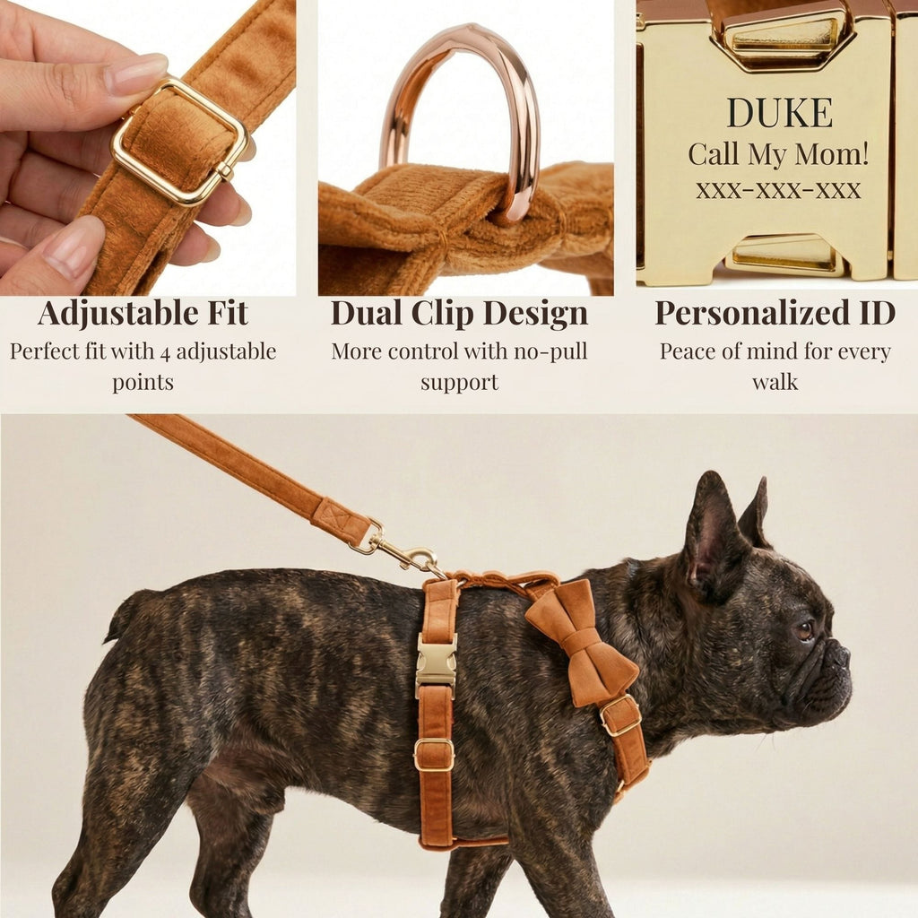 D&D Paws  Ancient Pottery Velvet Set