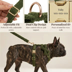 D&D Paws  Cozy Olive Teddy Set
