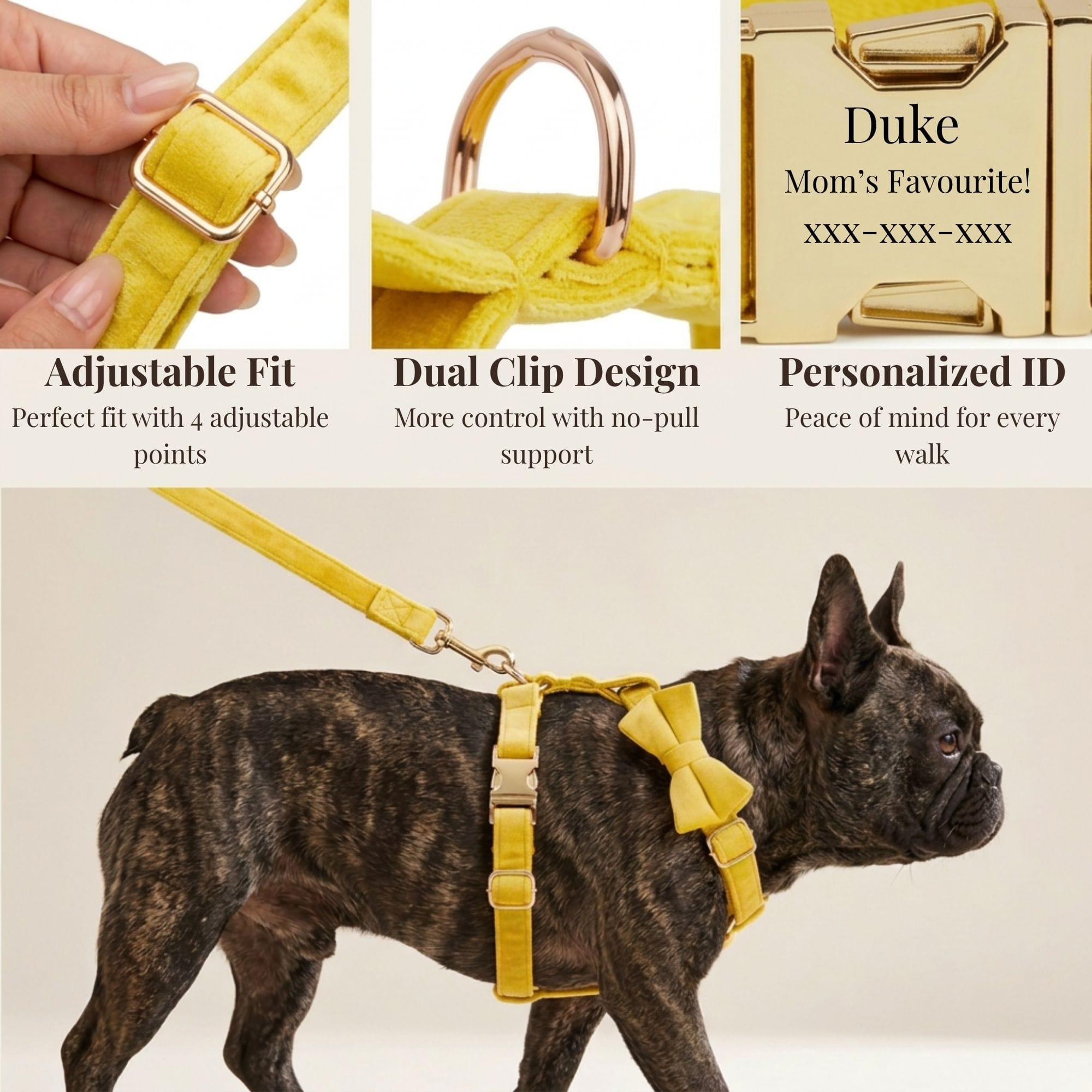 DDPaws  Yellow Velvet Set