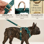 D&D Paws  Green Velvet Set